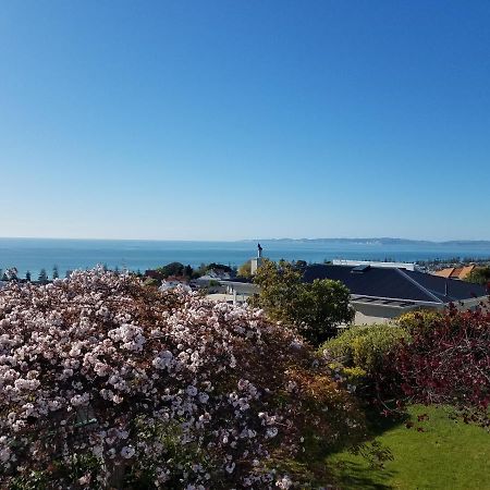 Chez Tiare - The Loft Apartment Napier Exterior foto