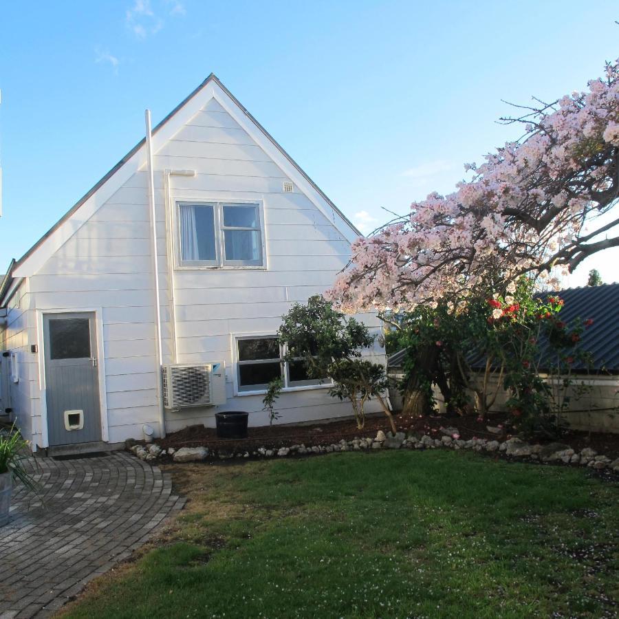 Chez Tiare - The Loft Apartment Napier Exterior foto